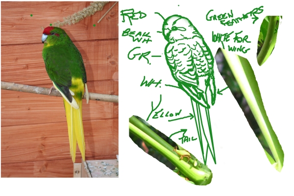 Creation of Jungle Life: Step 2